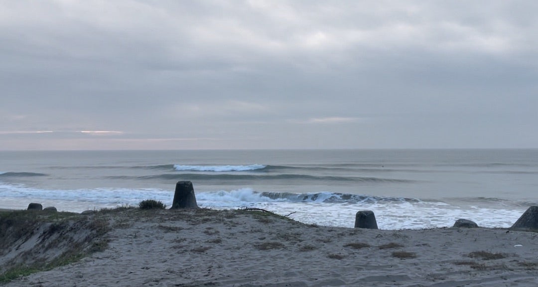 今日の海