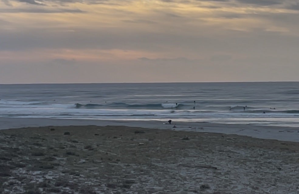 臨時休業のお知らせと伊良湖週末波予想