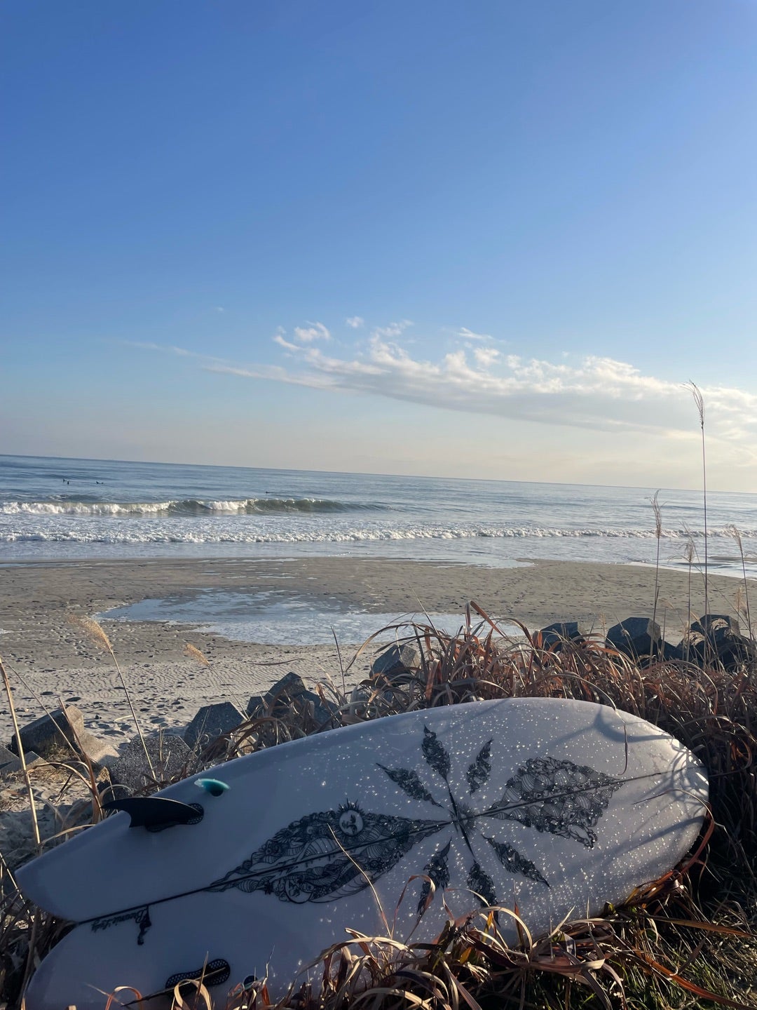 臨時休業のお知らせと伊良湖週末波予想