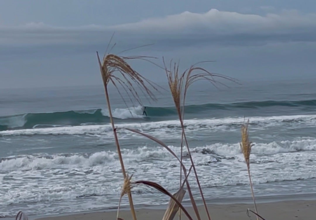 伊良湖週末波予想